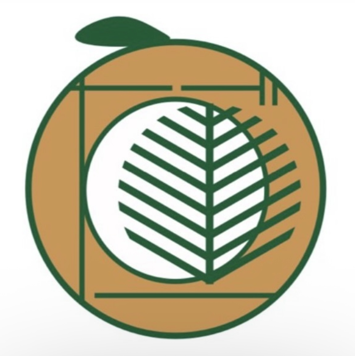 だもんで遠州mandarina